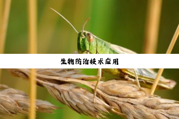 生物防治技术应用