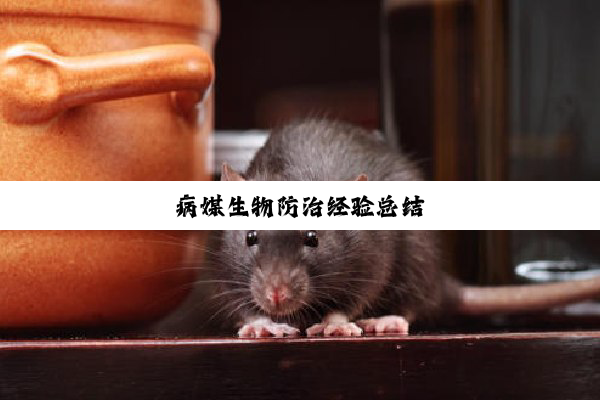 今日科普|病媒生物防治经验总结
