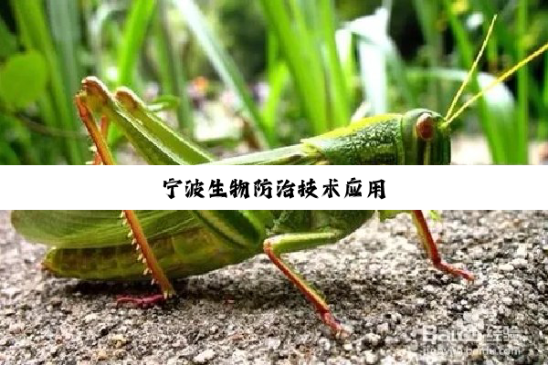 今日科普|宁波生物防治技术应用