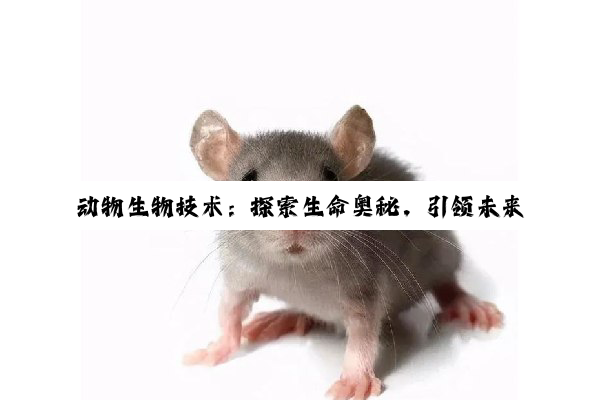 动物生物技术：探索生命奥秘，引领未来科技潮流