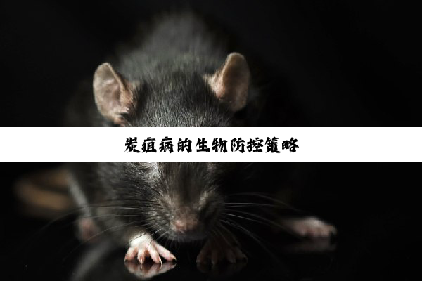 炭疽病的生物防控策略