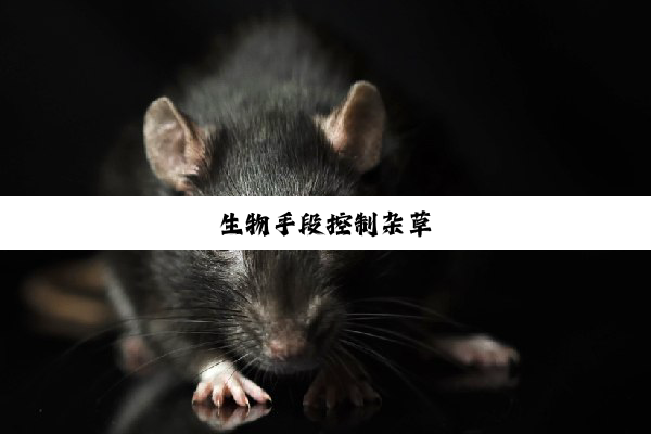 今日科普|生物手段控制杂草