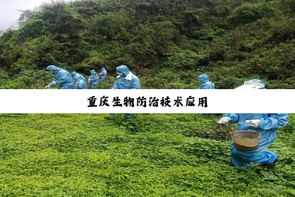 今日科普|重庆生物防治技术应用