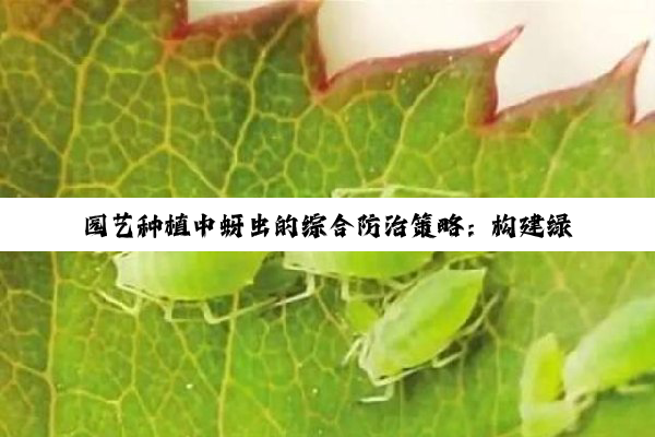 【科普解答】园艺种植中蚜虫的综合防治策略：构建绿色健康的植物保护体系