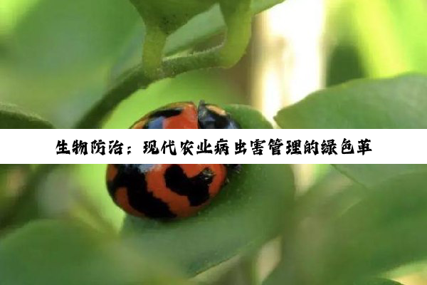 生物防治：现代农业病虫害管理的绿色革命与综合策略探索