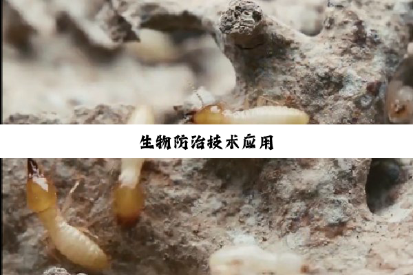 生物防治技术应用