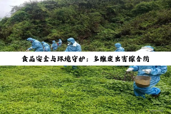 食品安全与环境守护：多维度虫害综合防控策略与实践指南