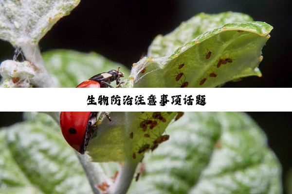 生物防治注意事项话题