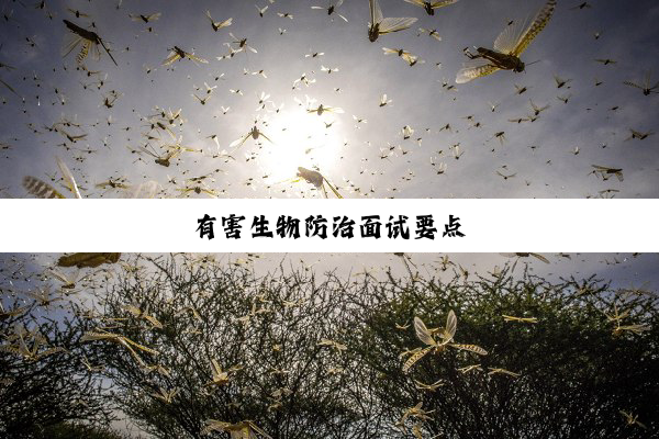 有害生物防治面试要点