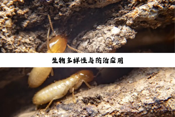 生物多样性与防治应用