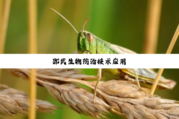 今日科普|邵武生物防治技术应用