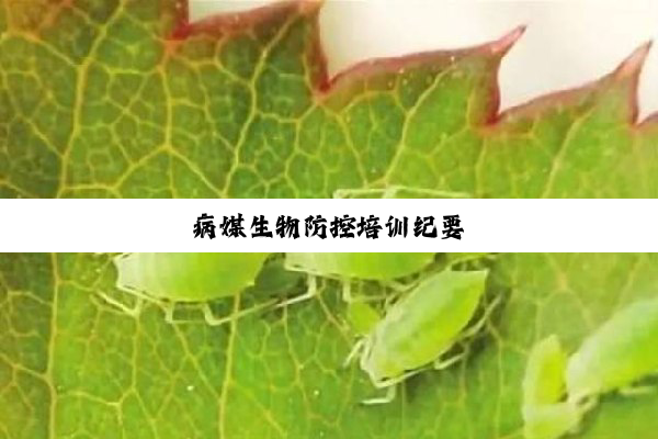 病媒生物防控培训纪要