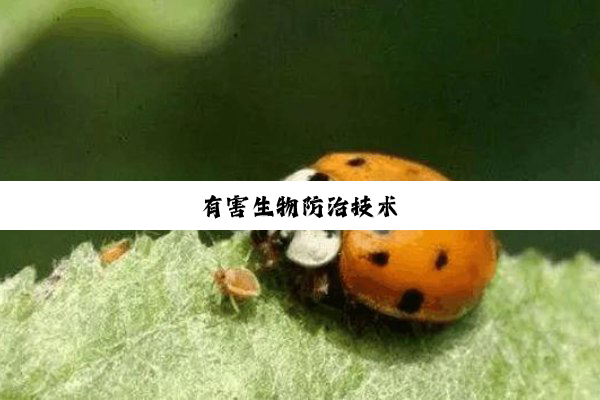 今日科普|有害生物防治技术
