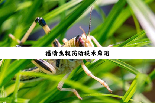 福清生物防治技术应用