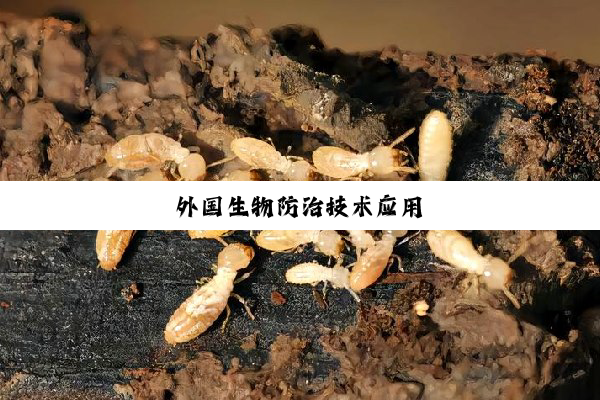 外国生物防治技术应用