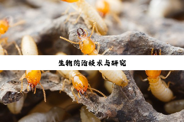 生物防治技术与研究