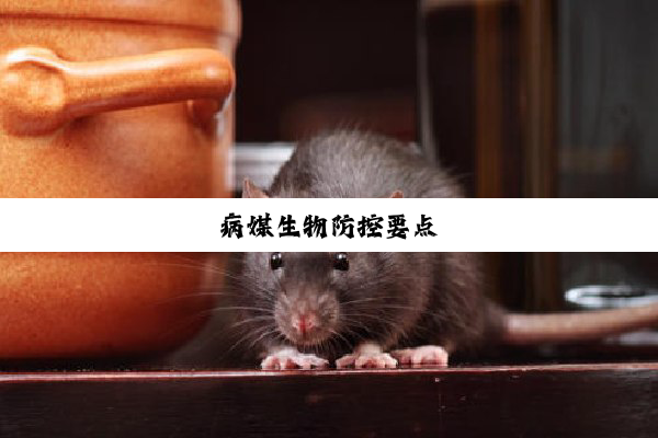 今日科普|病媒生物防控要点