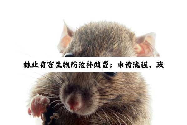 【科普解答】林业有害生物防治补助费：申请流程、政策解读与合规使用指南