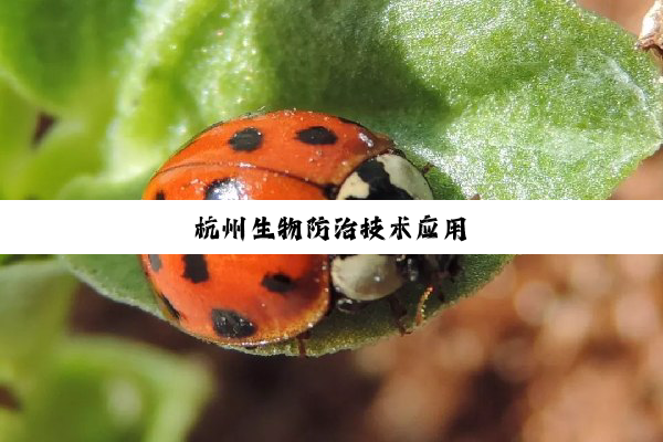 杭州生物防治技术应用