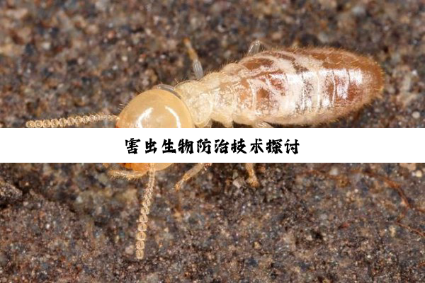 今日科普|害虫生物防治技术探讨