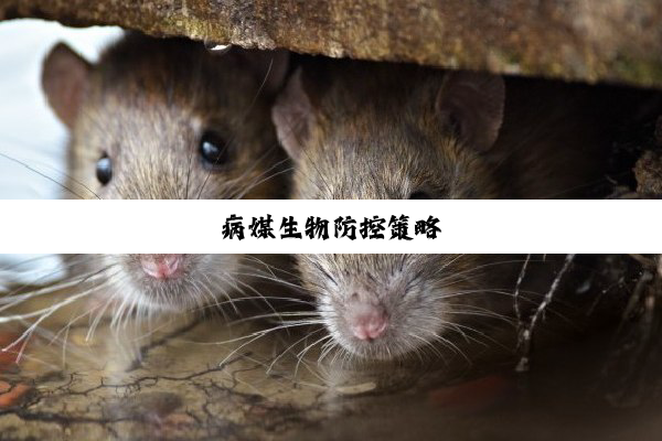 病媒生物防控策略