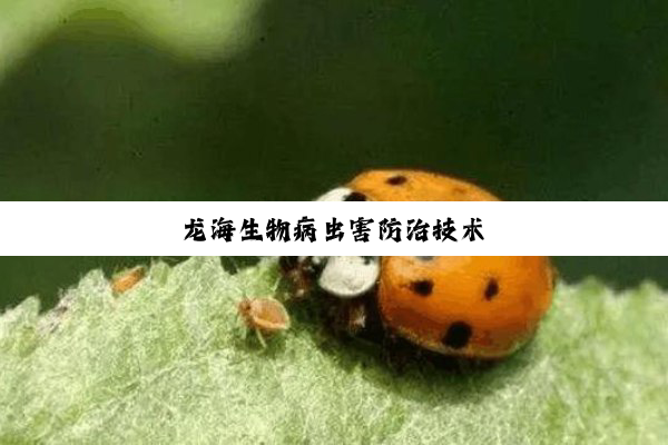 今日科普|龙海生物病虫害防治技术