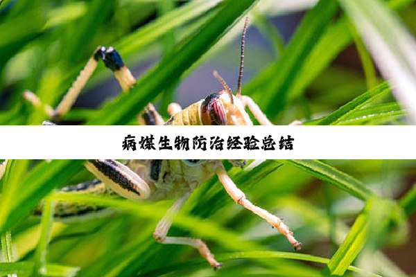 今日科普|病媒生物防治经验总结