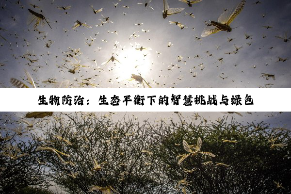 【科普解答】生物防治：生态平衡下的智慧挑战与绿色希望