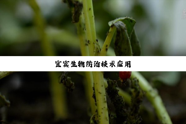 宜宾生物防治技术应用