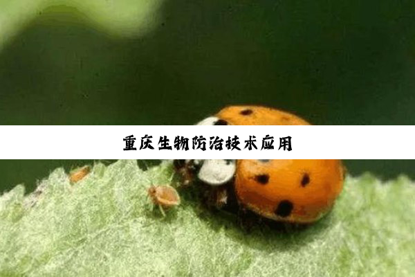 今日科普|重庆生物防治技术应用