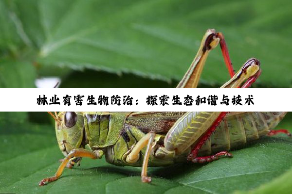 林业有害生物防治：探索生态和谐与技术创新之路