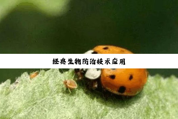 今日科普|经典生物防治技术应用
