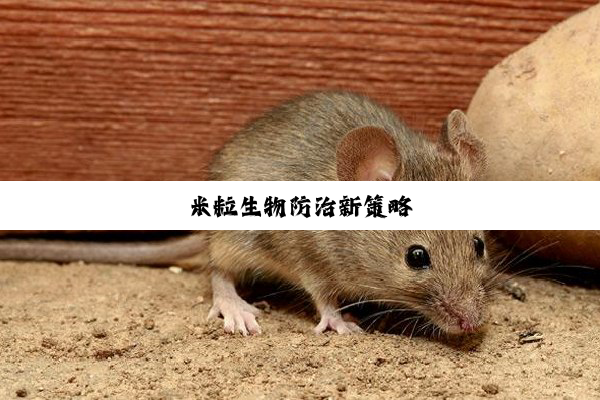 米粒生物防治新策略