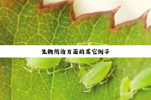 【科普解答】生物防治方面的其它例子