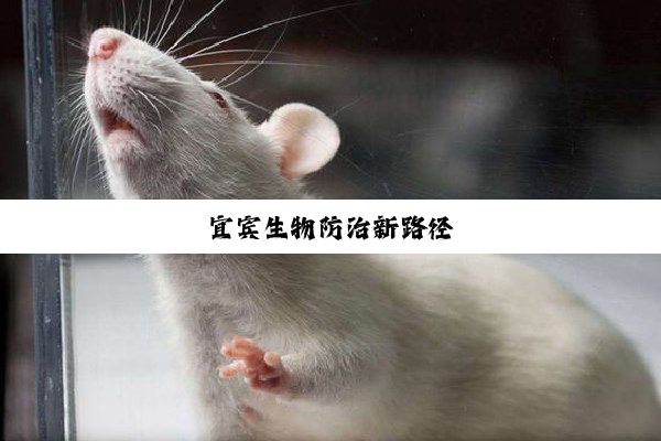 宜宾生物防治新路径
