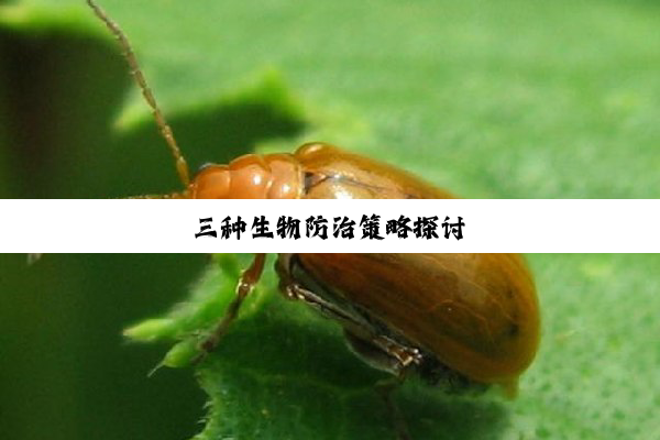 三种生物防治策略探讨