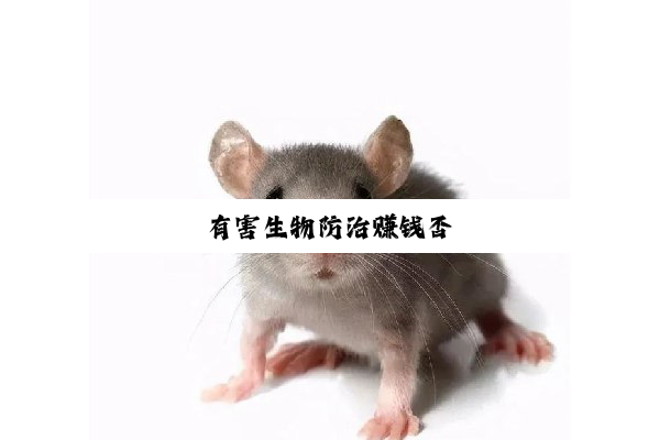 今日科普|有害生物防治赚钱否