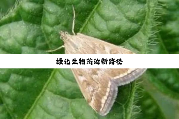 绿化生物防治新路径