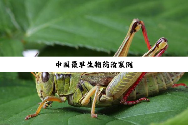 中国最早生物防治案例