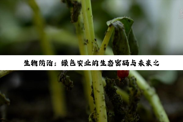 【科普解答】生物防治：绿色农业的生态密码与未来之路