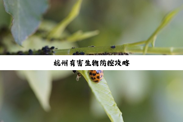 杭州有害生物防控攻略