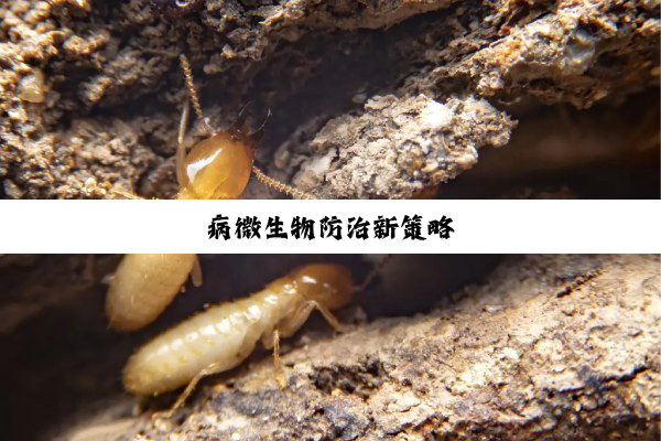 病微生物防治新策略