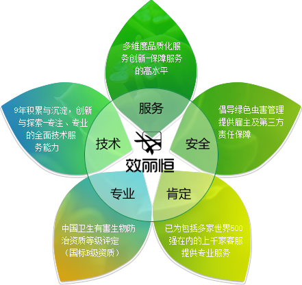 关于开云