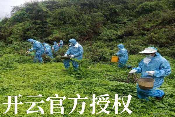 开云·kaiyun中国登录入口